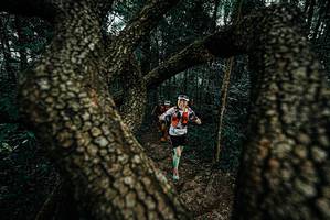 BIB: 
                            <button type="button" onclick="openModal(25681853)" class="btn btn-primary btn-sm float-right btn-popup" data-toggle="modal" data-target=".modal-high-quality">
                        <i class="fas fa-shopping-cart"></i> Add to Cart
                    </button>
                                            <button type="button" onclick="isThisMe(25681853, true)" class="btn btn-success btn-sm float-right btn-popup btn-isme hidden" data-toggle="tooltip" data-placement="bottom" title="นี่คือรูปของคุณใช่ไหม คลิกที่นี่เพื่อเอาเข้าอัลบั้ม">
                        <i class="fas fa-plus"></i> Add to album
                    </button>
                    <button type="button" onclick="isThisMe(25681853, false)" class="btn btn-warning btn-sm float-right btn-popup btn-isnotme hidden">
                        <i class="fas fa-ban"></i> Remove from album
                    </button>